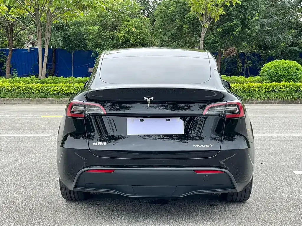 Tesla Model Y — фото 6