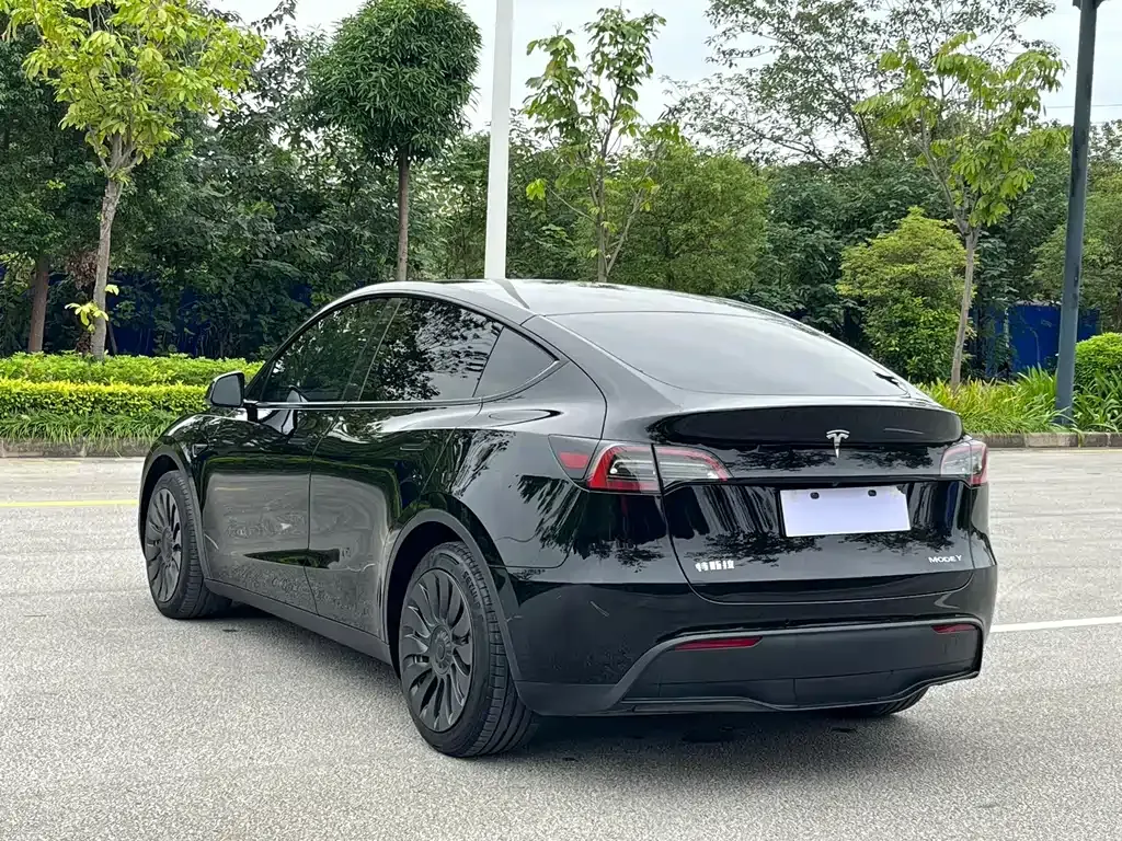 Tesla Model Y — фото 9