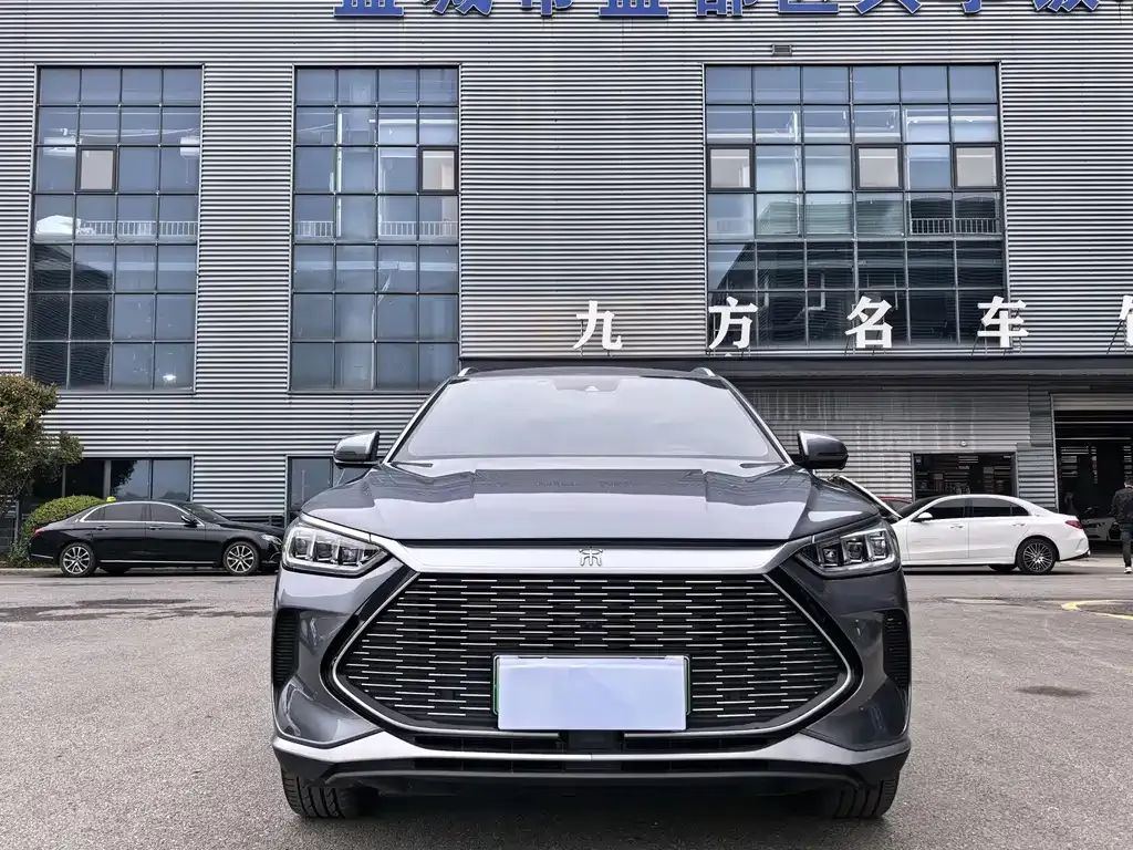 BYD PLUS New Energy 2024 из CN, фото 2