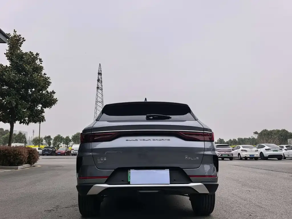 BYD PLUS New Energy 2024 из CN, фото 6