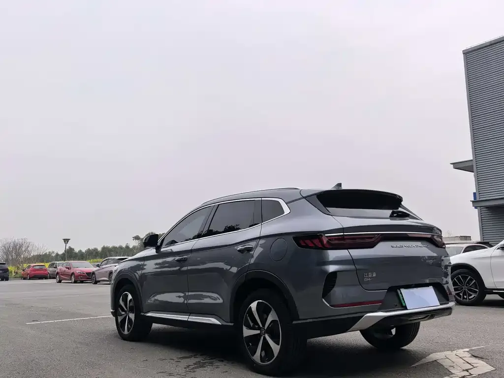 BYD PLUS New Energy 2024 из CN, фото 5
