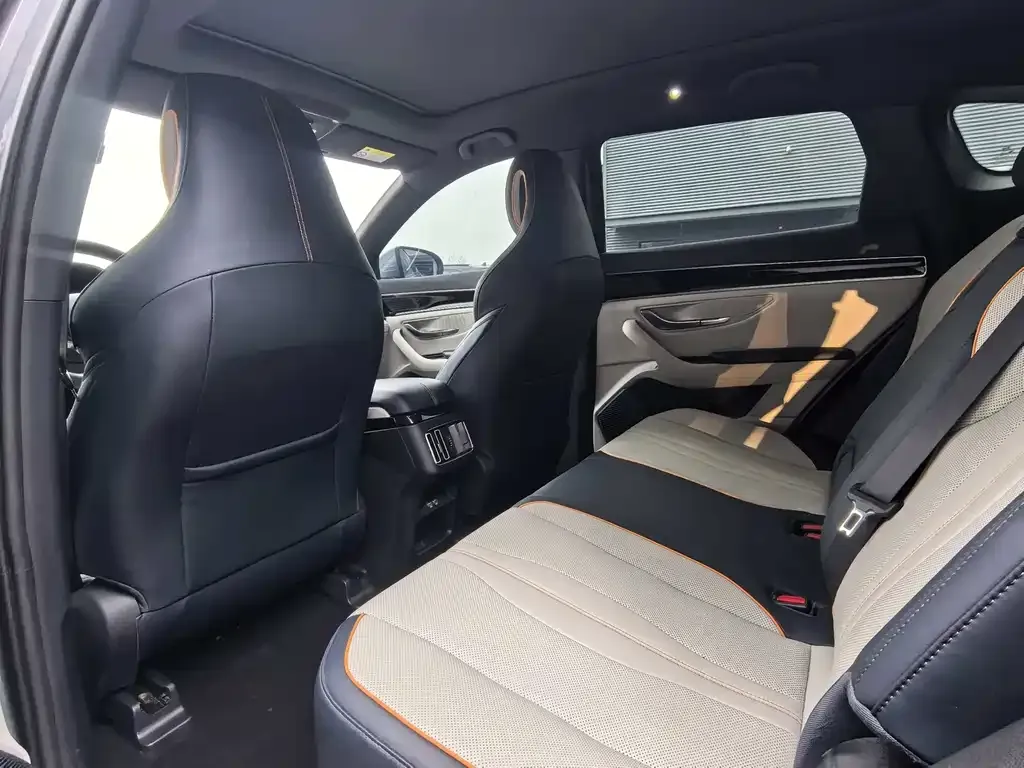 BYD PLUS New Energy 2024 из CN, фото 4