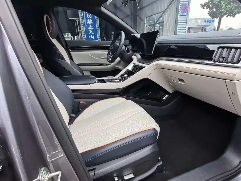 BYD PLUS New Energy 2024 из CN, фото 3