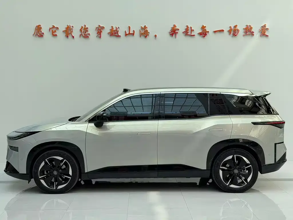 Toyota Platinum 3X 2025 из CN, фото 6
