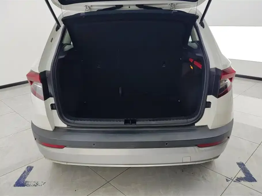 Skoda Karoq 2021 из CN, фото 2