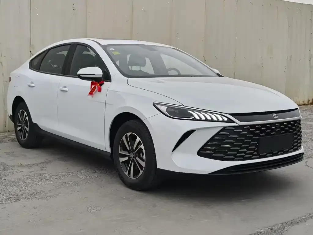 BYD Qin PLUS — фото 1