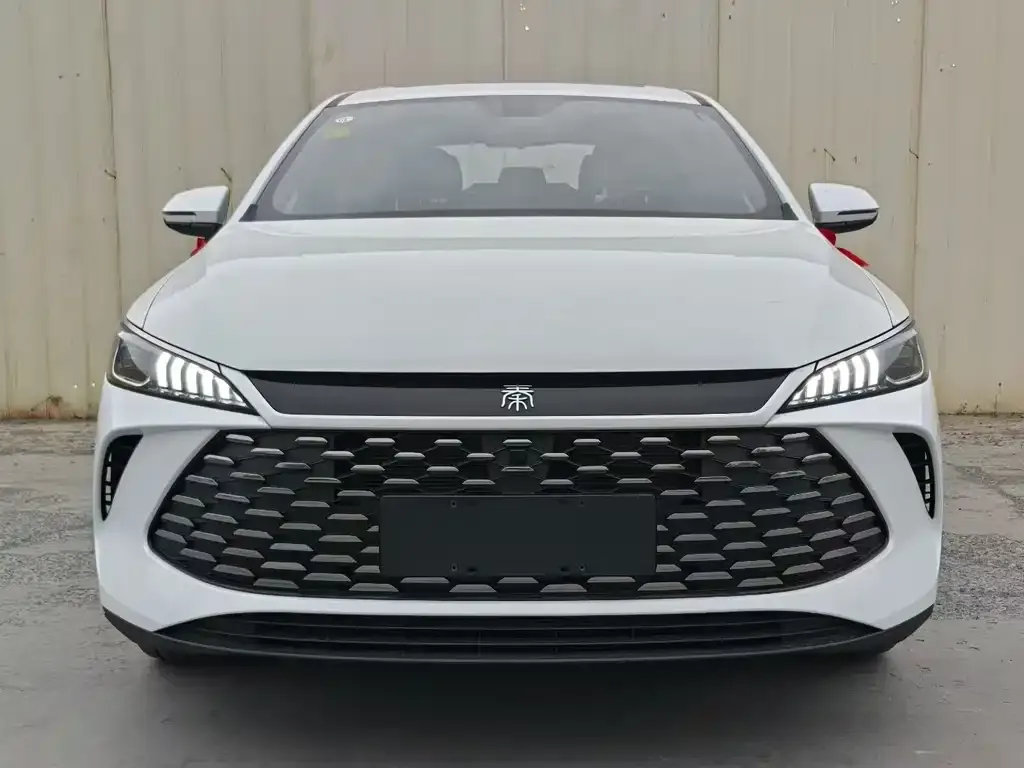 BYD Qin PLUS — фото 2