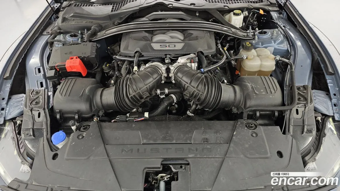 Ford Mustang 2024 из KR, фото 10