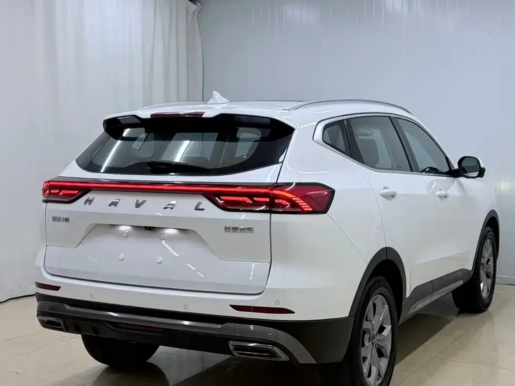 Haval H6 2021 из CN, фото 3