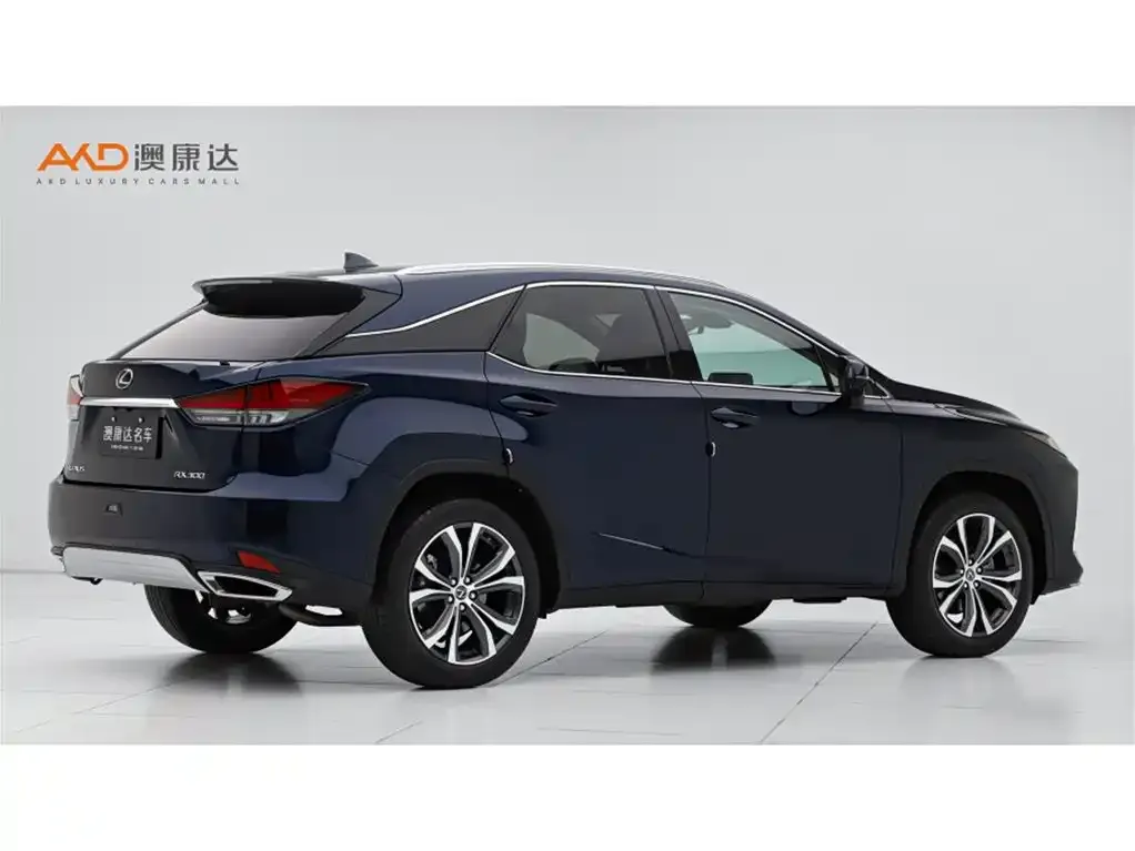 Lexus RX — фото 6