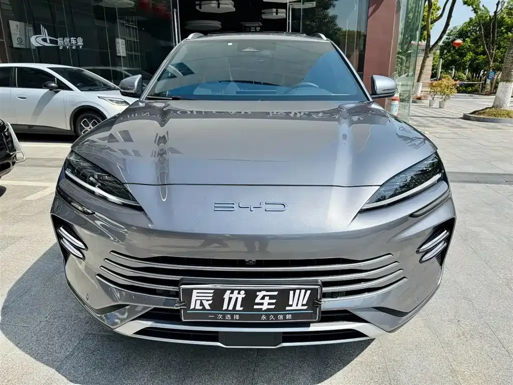 BYD PLUS New Energy — фото 2