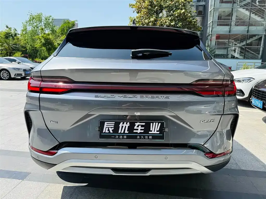 BYD PLUS New Energy — фото 4