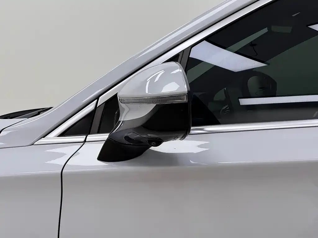 BYD Tang New Energy 2024 из CN, фото 2