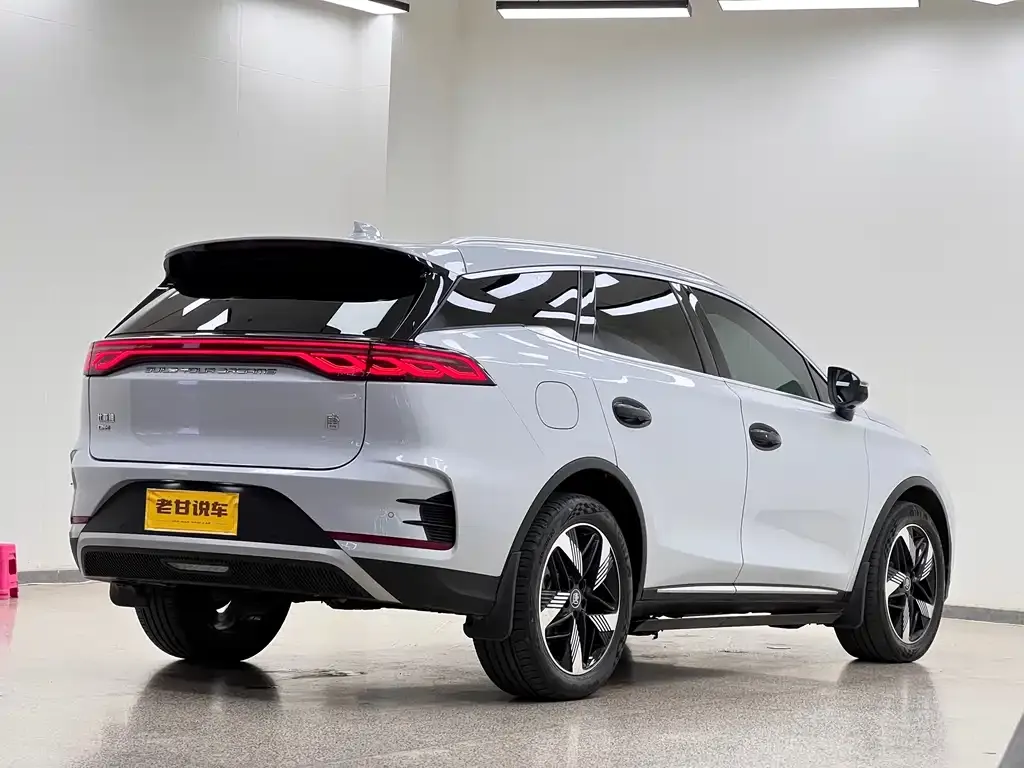 BYD Tang New Energy 2024 из CN, фото 9