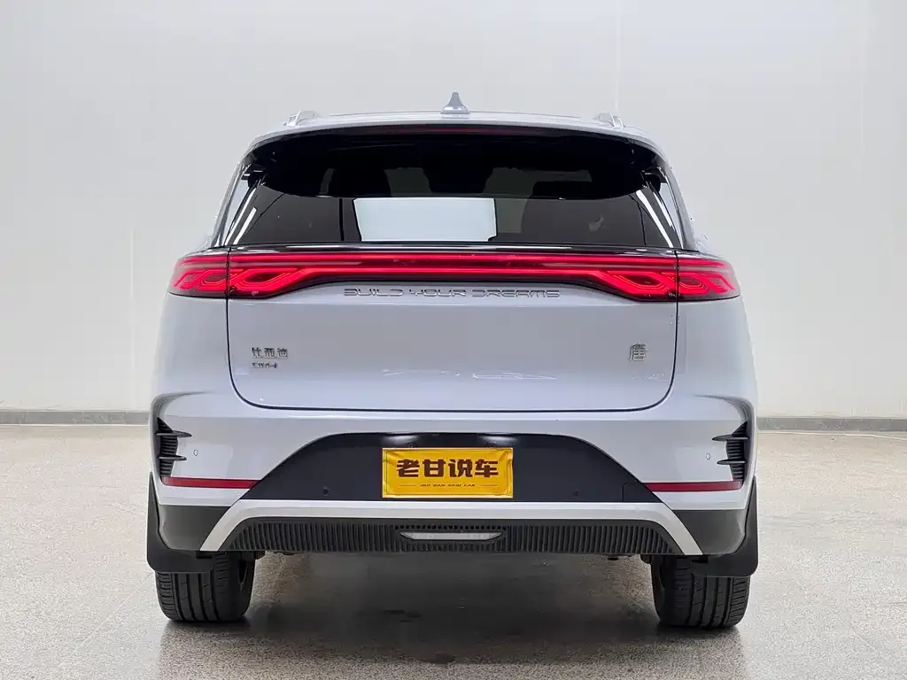 BYD Tang New Energy 2024 из CN, фото 5