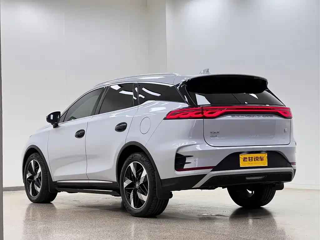 BYD Tang New Energy 2024 из CN, фото 4