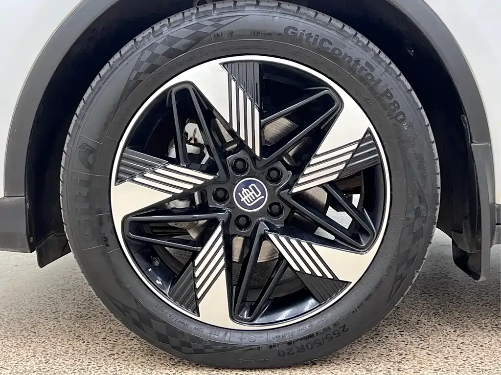 BYD Tang New Energy 2024 из CN, фото 3