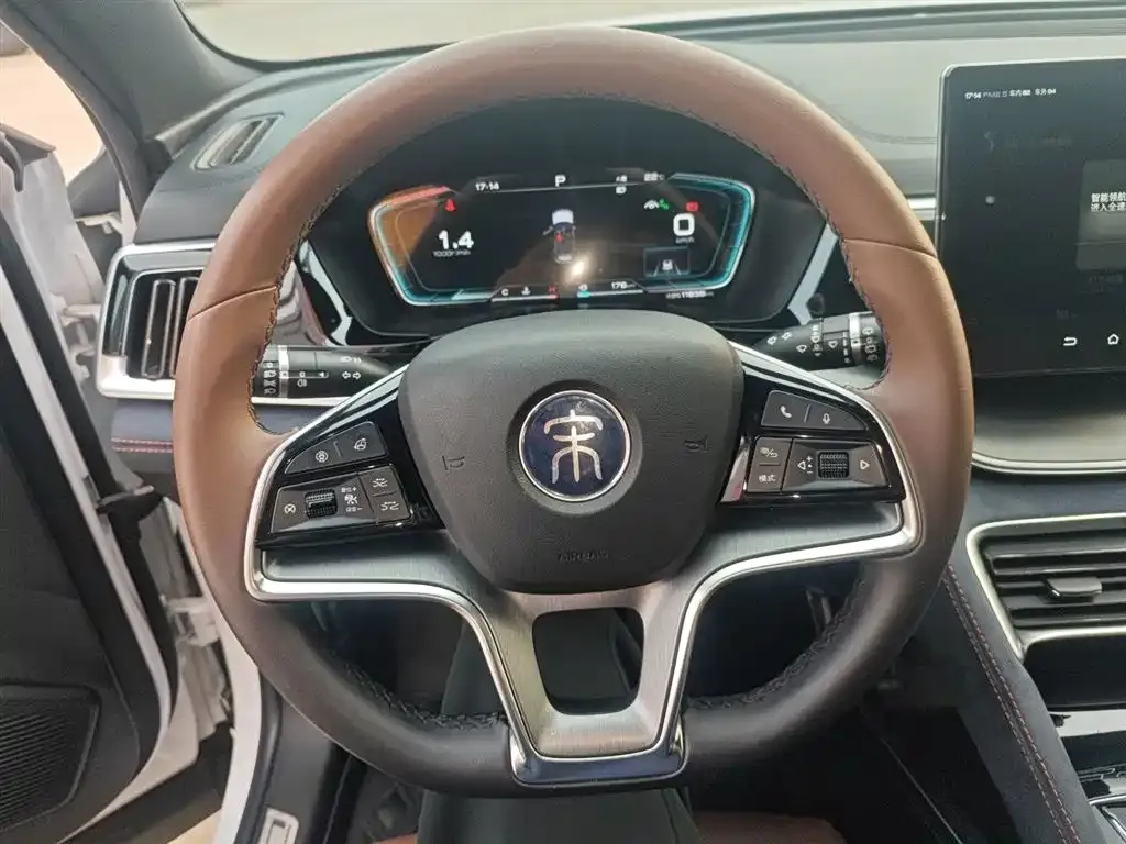 BYD PLUS 2023 из CN, фото 3