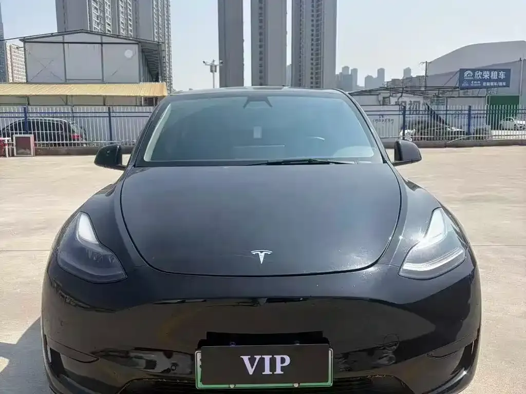 Tesla Model Y — фото 4