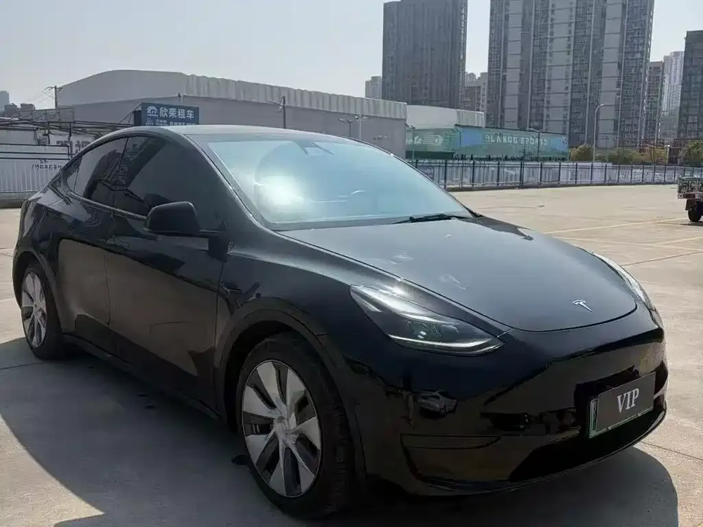 Tesla Model Y — фото 2