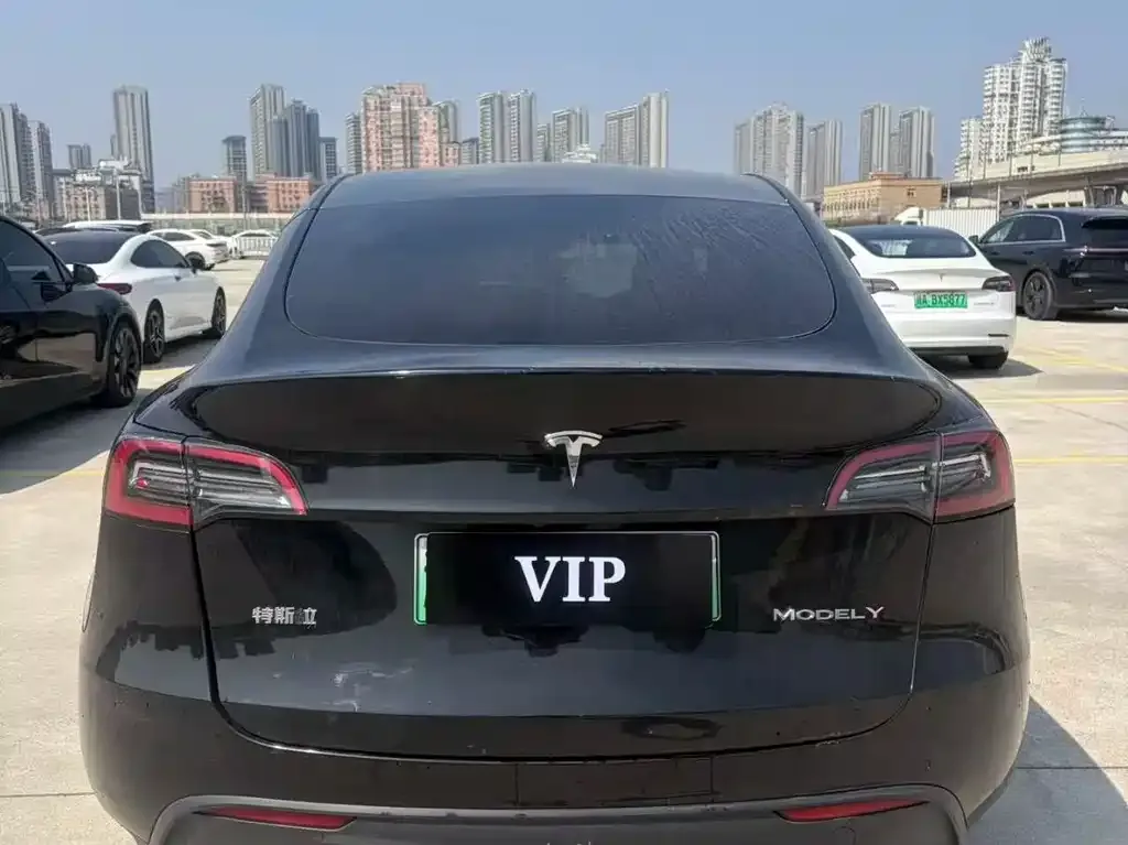 Tesla Model Y — фото 7