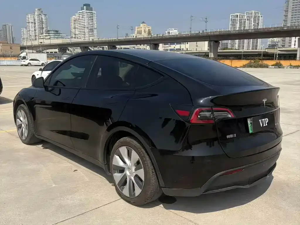 Tesla Model Y — фото 8