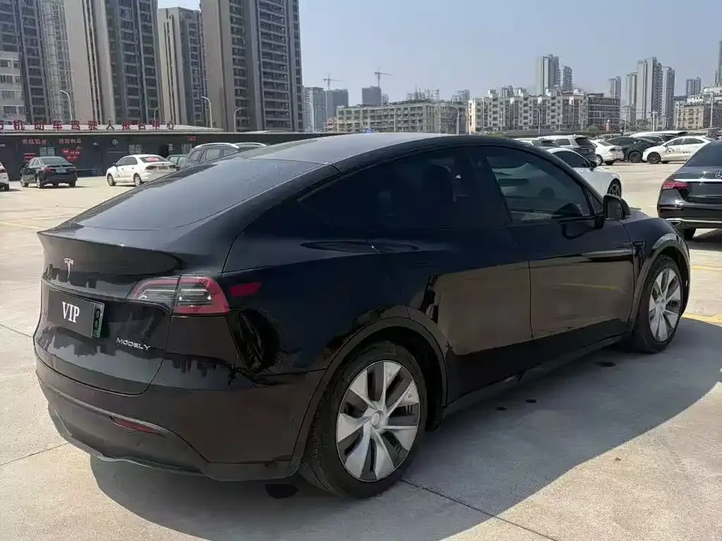 Tesla Model Y — фото 9