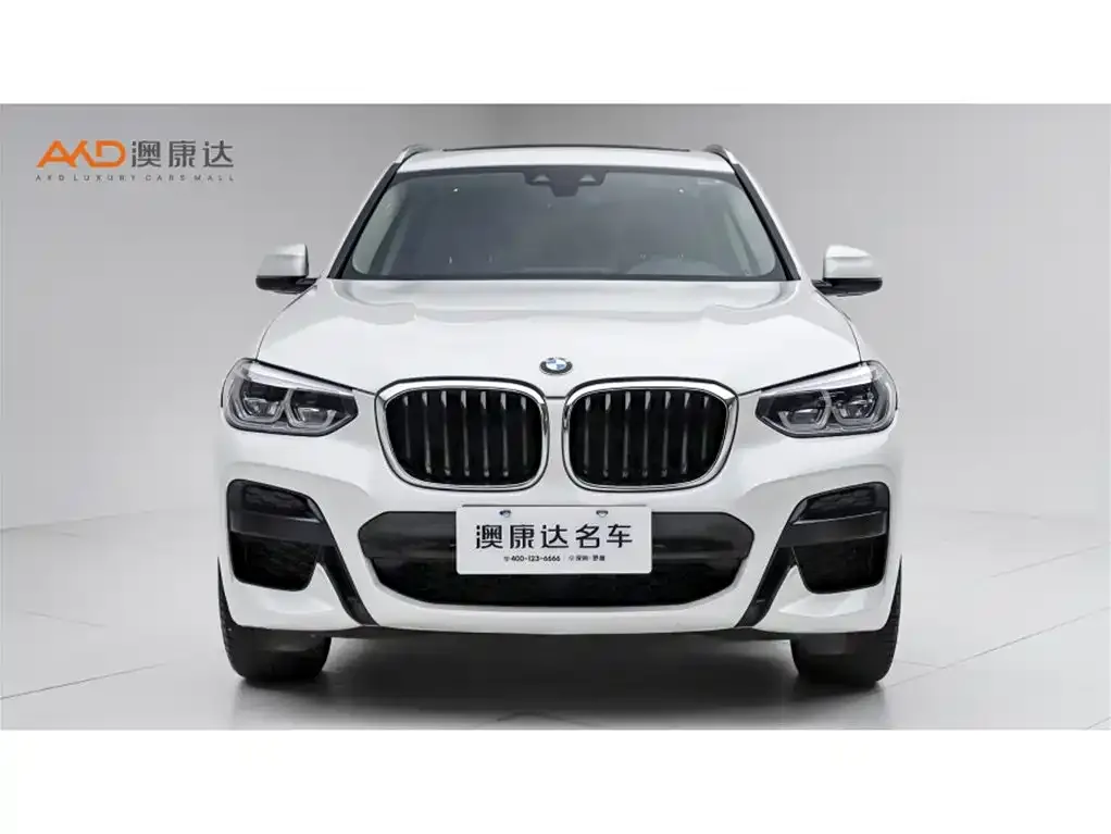 BMW X3 2021 из CN, фото 4