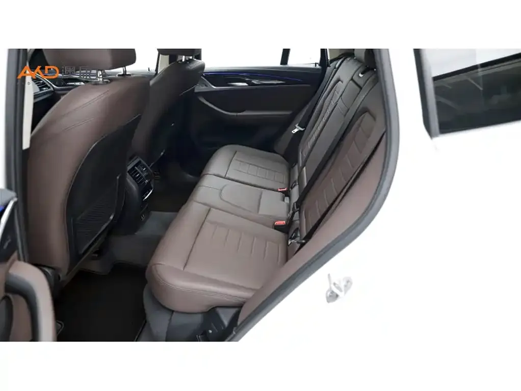 BMW X3 2021 из CN, фото 6