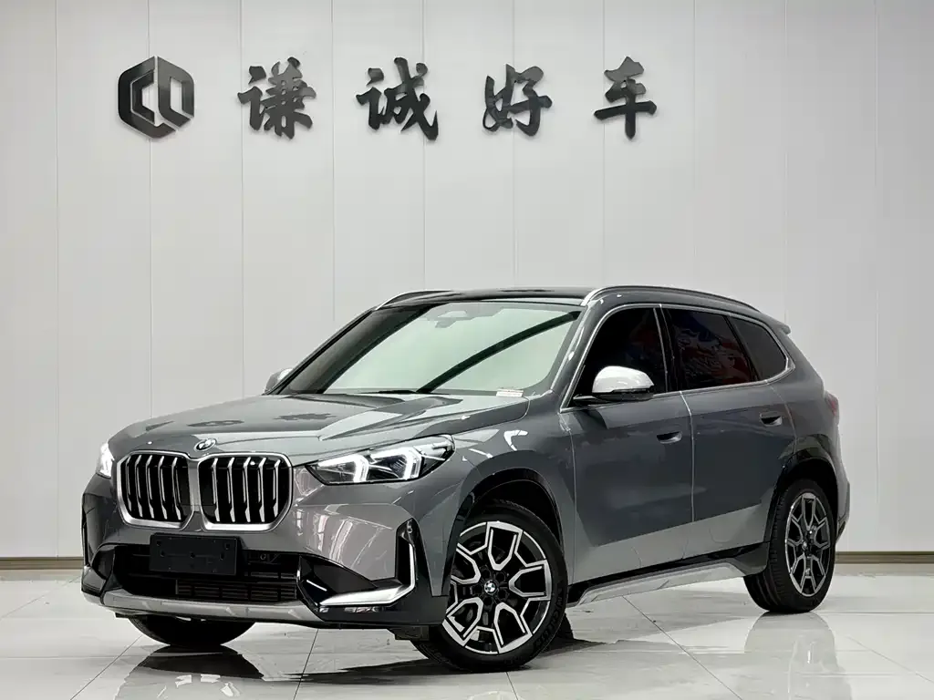 BMW X1 — фото 1