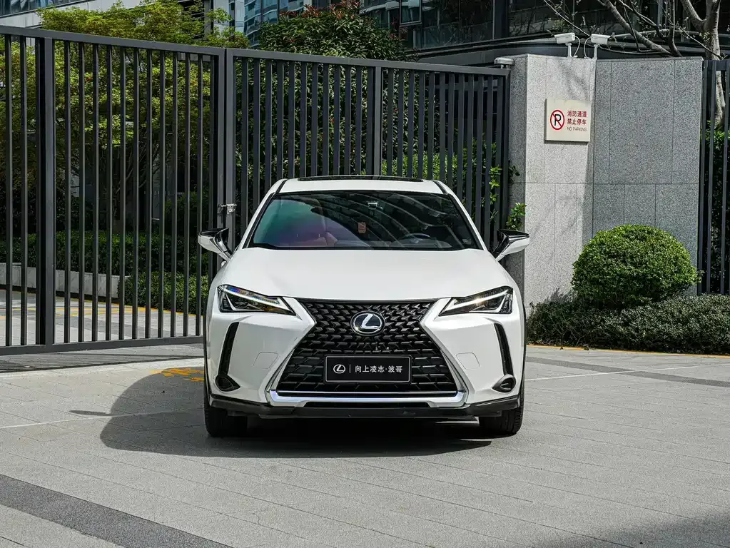 Lexus UX 2021 из CN, фото 6