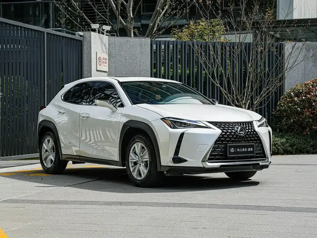 Lexus UX 2021 из CN, фото 4