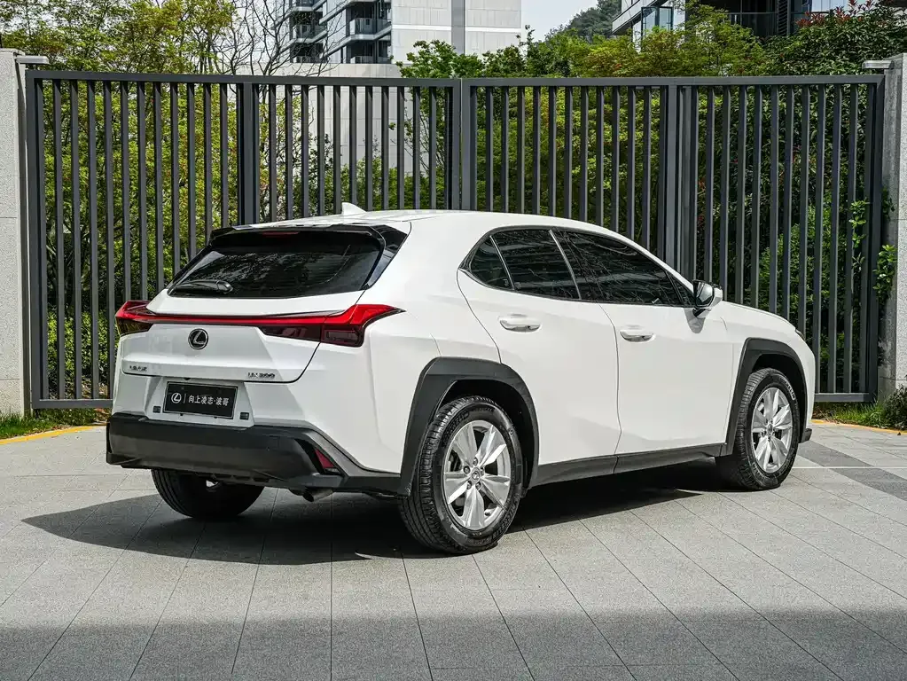 Lexus UX 2021 из CN, фото 5