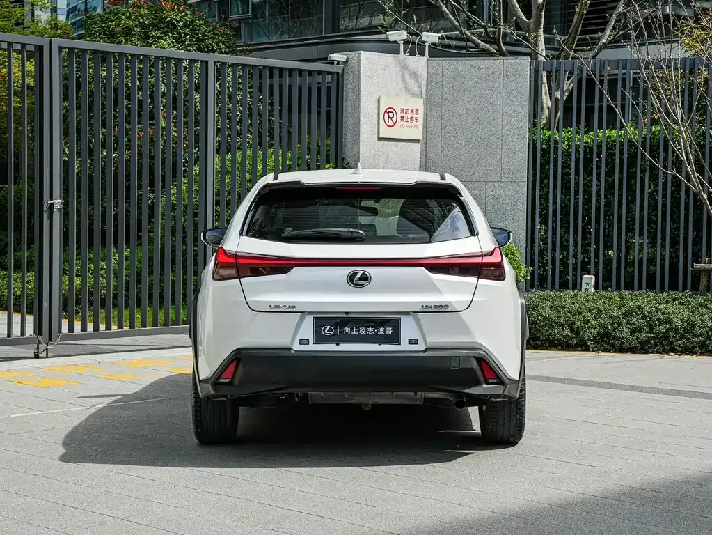 Lexus UX 2021 из CN, фото 8