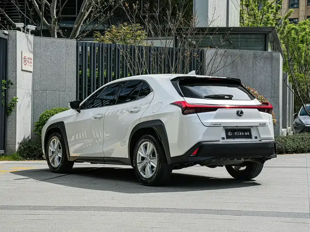 Lexus UX 2021 из CN, фото 9
