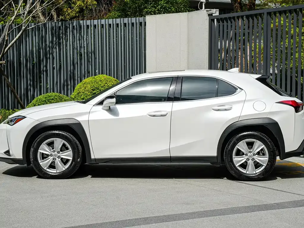 Lexus UX 2021 из CN, фото 10