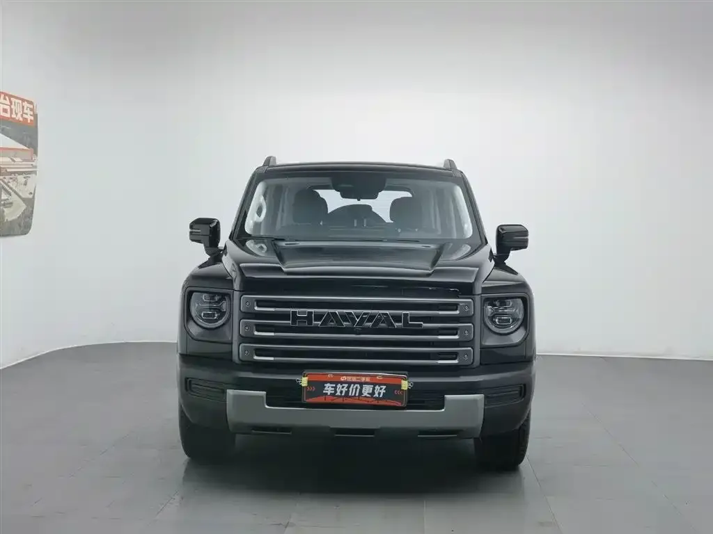 Haval Menglong New Energy 2024 из CN, фото 4