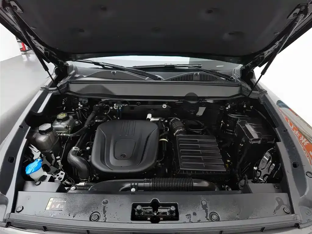 Haval Menglong New Energy 2024 из CN, фото 8