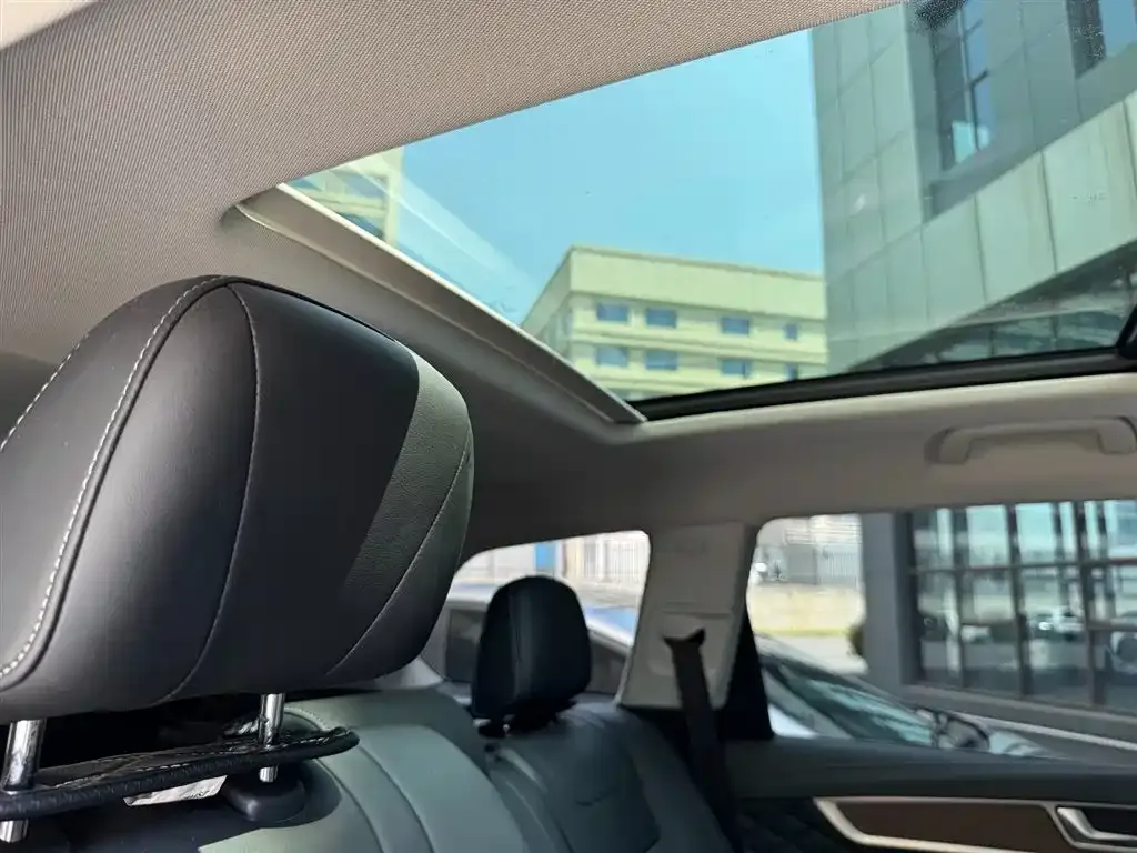 Hongqi HS7 2021 из CN, фото 3