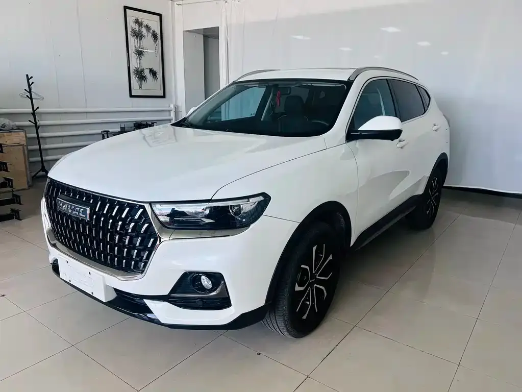 Haval H6 2023 из CN, фото 6
