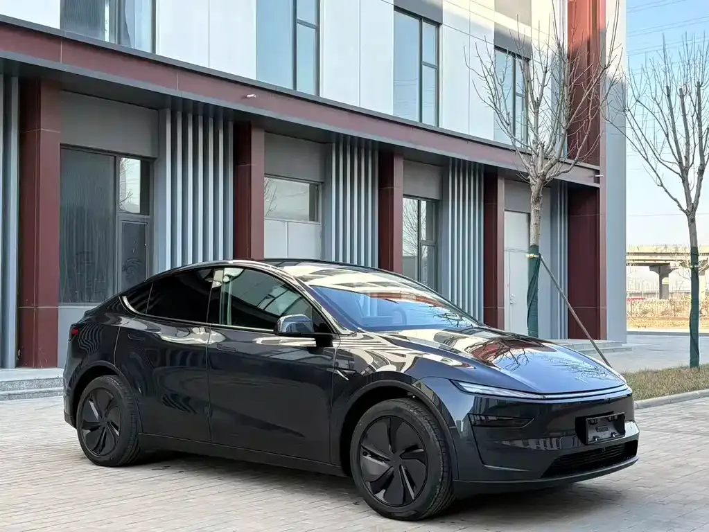 Tesla Model Y — фото 9