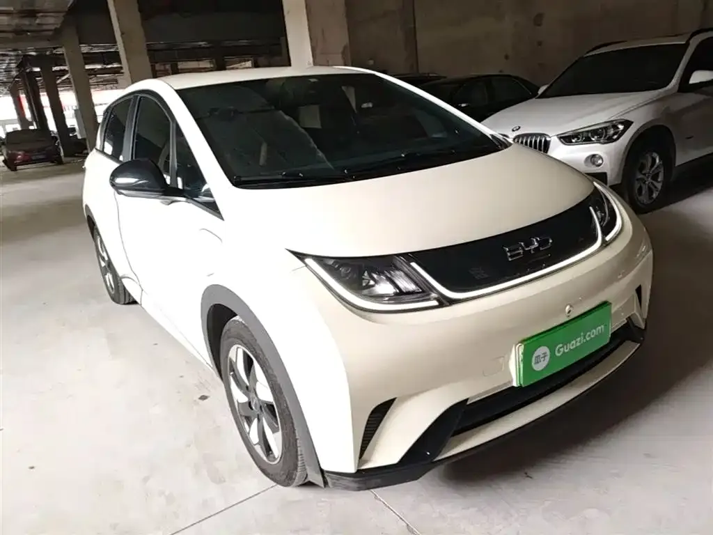 BYD Dolphin 2024 из CN, фото 2