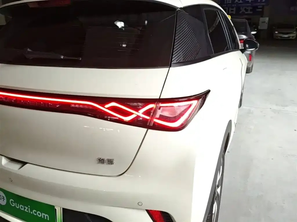 BYD Dolphin 2024 из CN, фото 3
