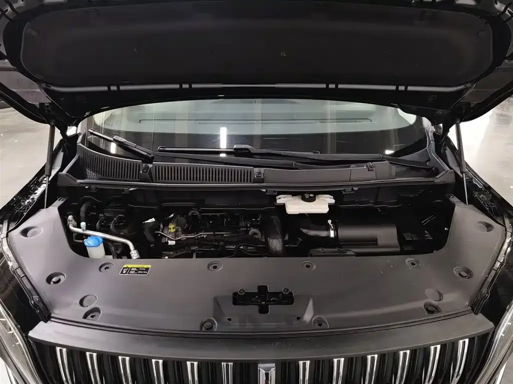 Hongqi HQ9 2023 из CN, фото 4