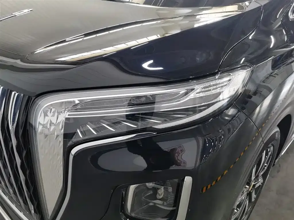 Hongqi HQ9 2023 из CN, фото 9