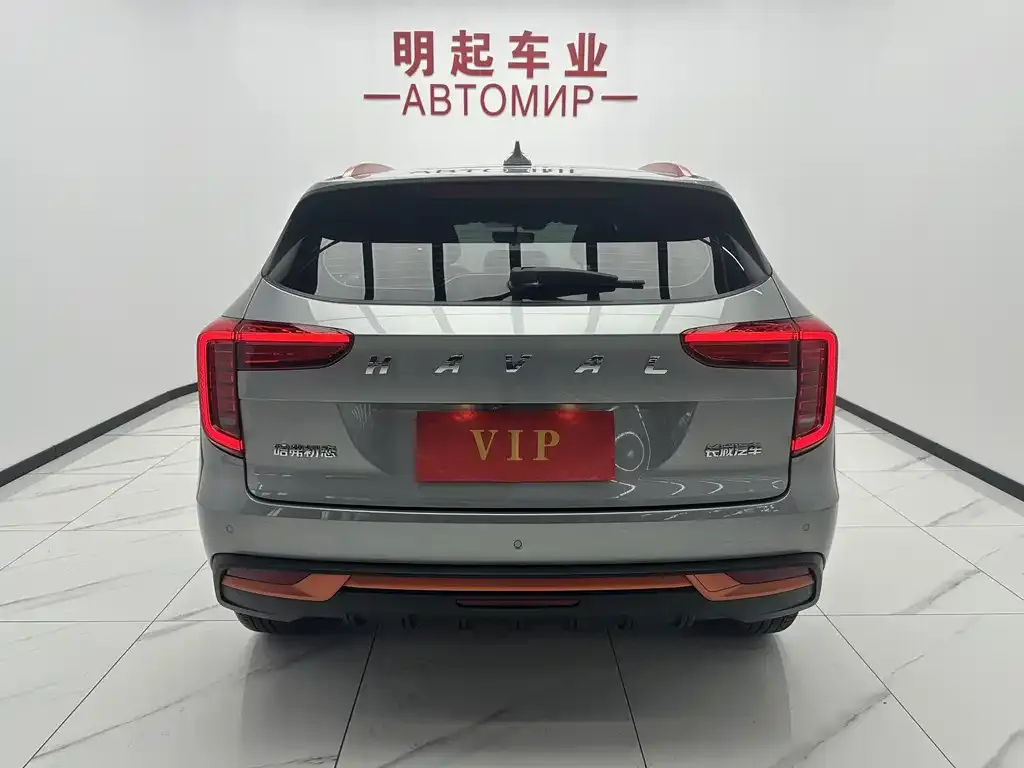 Haval Chulian 2021 из CN, фото 2