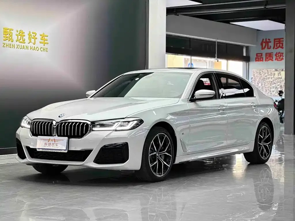BMW 5 Series 2023 из CN, фото 1