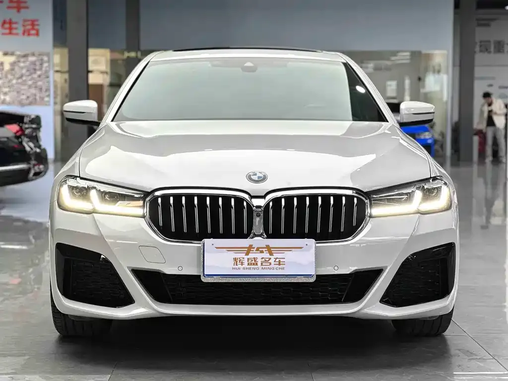 BMW 5 Series 2023 из CN, фото 4