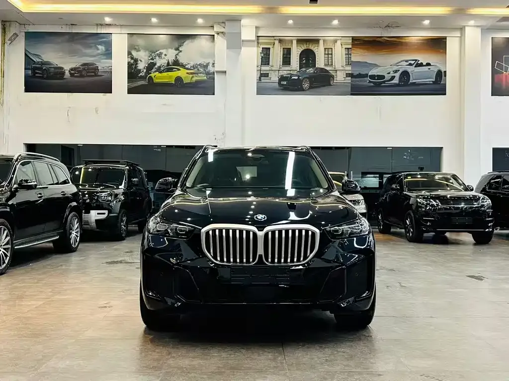 BMW X5 — фото 5