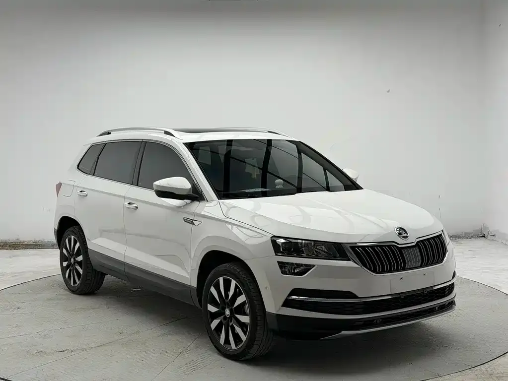 Skoda Karoq 2022 из CN, фото 2